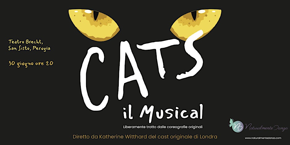 Spettacolo di fine anno 2024 –&nbsp;Cats!